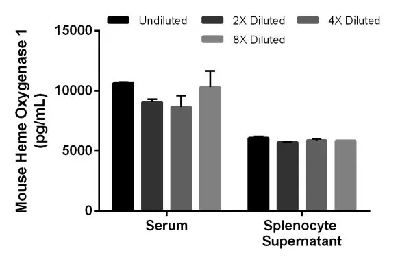 Sandwich ELISA - Mouse Heme Oxygenase 1 ELISA Kit, Chemiluminescent (AB327326)