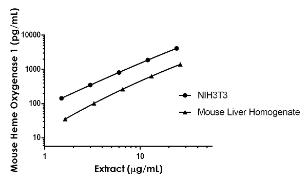 Sandwich ELISA - Mouse Heme Oxygenase 1 ELISA Kit, Fluorescent (AB229431)