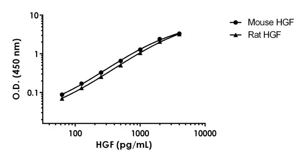 Sandwich ELISA - Mouse HGF ELISA Kit (AB223862)