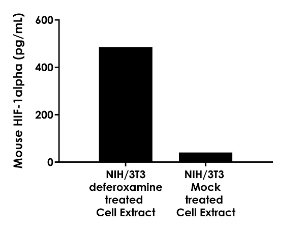 Sandwich ELISA - Mouse HIF-1 alpha ELISA Kit (AB275103)