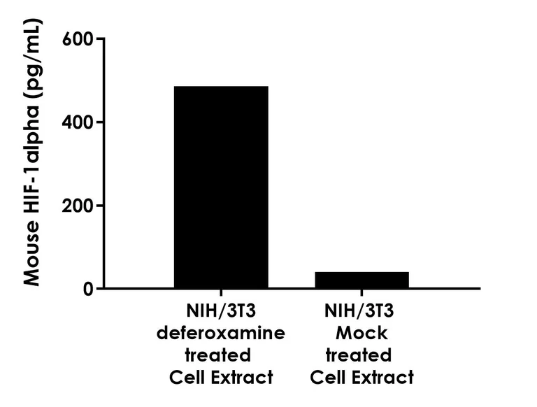 Sandwich ELISA - Mouse HIF-1 alpha ELISA Kit, Chemiluminescent (AB325897)
