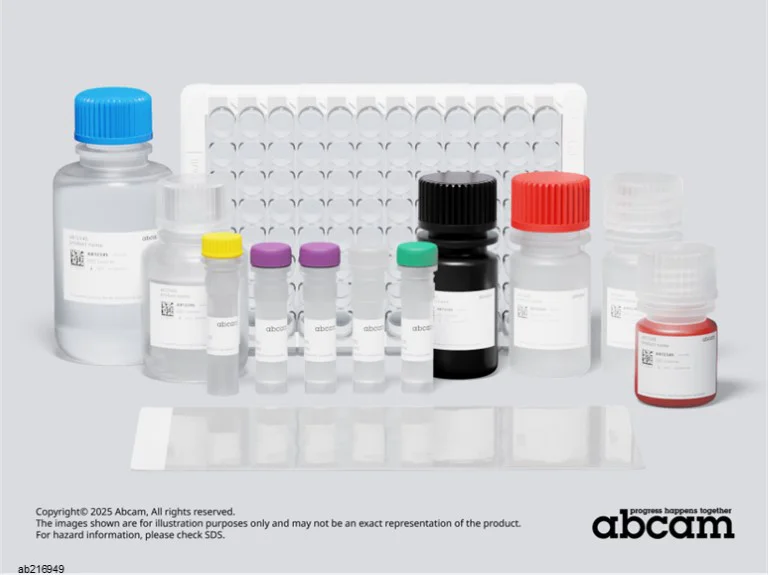 Sandwich ELISA - Mouse Hsp27 ELISA Kit (AB216949)