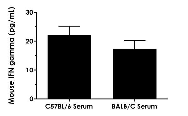 Sandwich ELISA - Mouse IFN gamma ELISA Kit (AB282874)