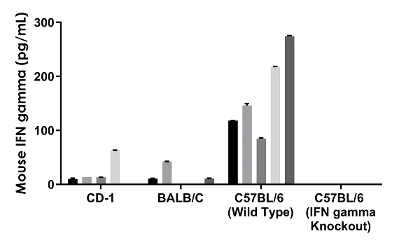 Sandwich ELISA - Mouse IFN gamma ELISA Kit (AB282874)