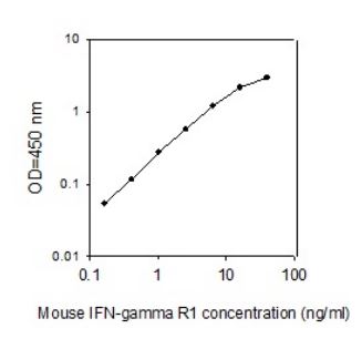 Sandwich ELISA - Mouse IFNGR1 ELISA Kit (AB267580)
