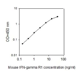 Sandwich ELISA - Mouse IFNGR1 ELISA Kit (AB267580)