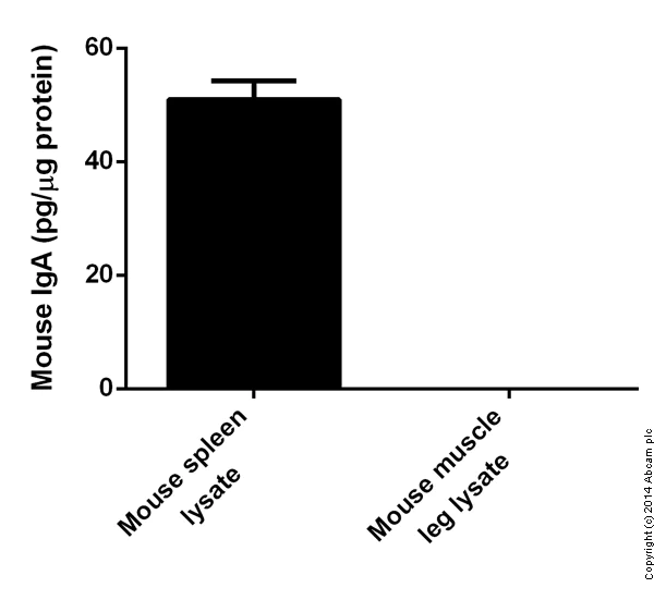 Sandwich ELISA - Mouse IgA ELISA Kit (AB157717)