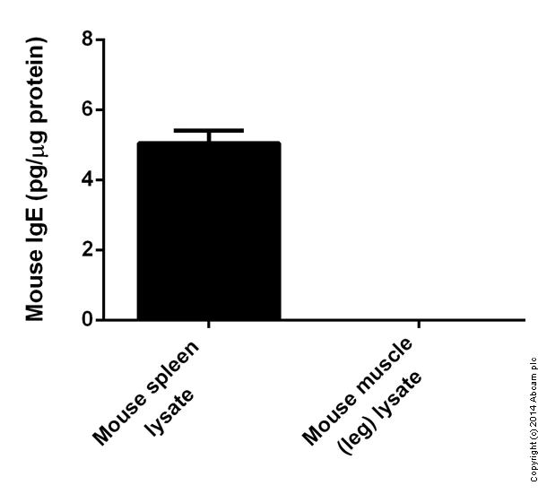 Élisaページ Mouse Complement C5a ELISA Kit (ab193718) | Abcam