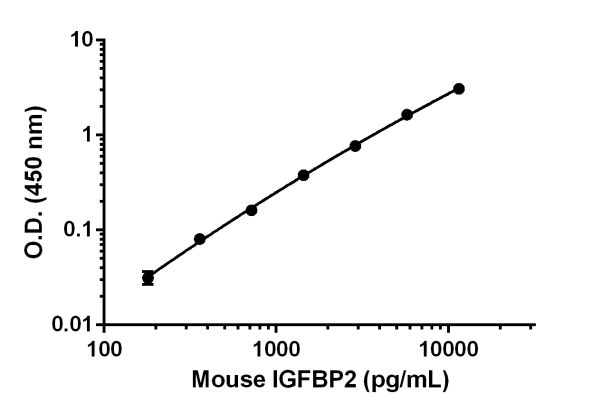 Sandwich ELISA - Mouse IGFBP2 ELISA Kit (AB207615)