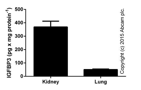 ELISA - Mouse IGFBP3 ELISA Kit (AB100692)