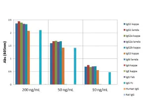 ELISA - Anti-Mouse IgG antibody [RM104] (AB190475)