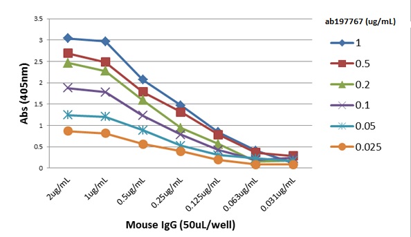 ELISA - Anti-Mouse IgG antibody [RMG07] (AB197767)