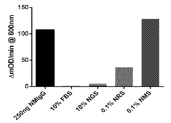 Mouse IgG ELISA Kit