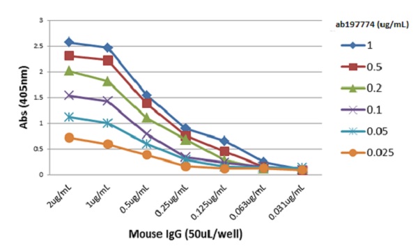ELISA - Anti-mouse IgG fab antibody [RMG05] (AB197774), expandable thumbnail