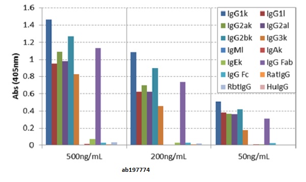 ELISA - Anti-mouse IgG fab antibody [RMG05] (AB197774), expandable thumbnail