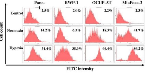 Flow Cytometry - Mouse IgG1, Kappa Monoclonal [B11/6] - Isotype Control (AB91353), expandable thumbnail