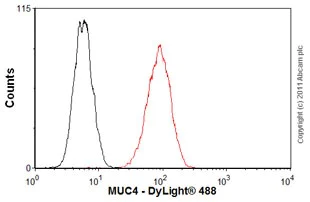 Flow Cytometry - Mouse IgG2a, Kappa Monoclonal [B12/8] - Isotype Control (AB91361)