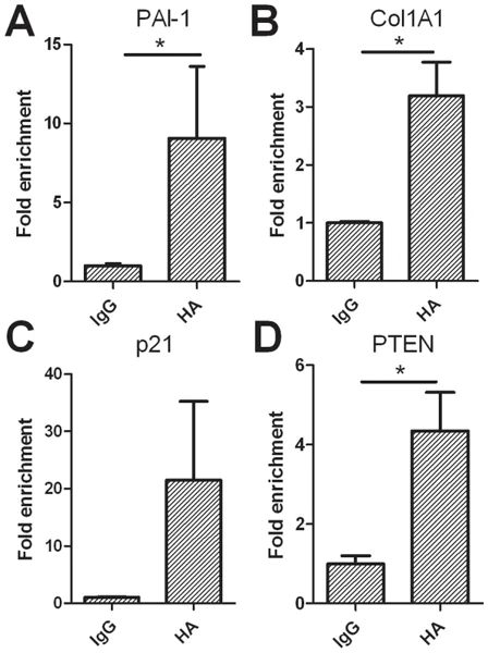 ChIP - Mouse IgG2a, Kappa Monoclonal [MOPC-173] - Isotype Control - ChIP Grade (AB18413)
