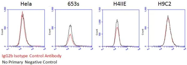 Flow Cytometry - Mouse IgG2b, kappa monoclonal [7E10G10] - Isotype Control - BSA and Azide free (AB221850)