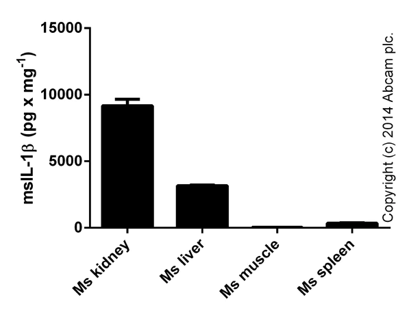 ELISA - Mouse IL-1 beta ELISA Kit (AB100705)
