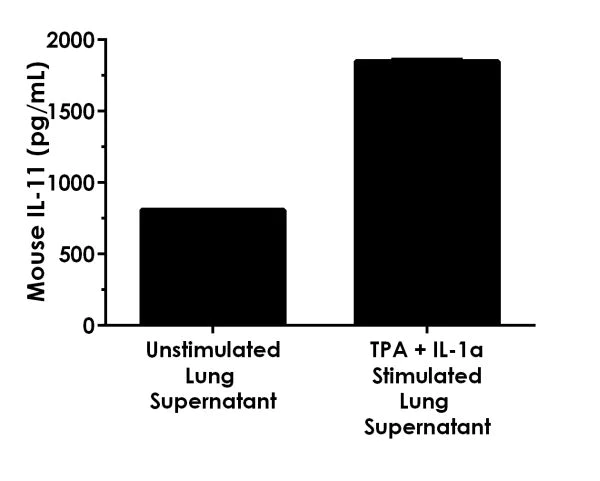 Sandwich ELISA - Mouse IL-11 ELISA Kit (AB215084)