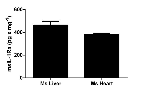 Sandwich ELISA - Mouse IL-1ra ELISA Kit (AB113348)