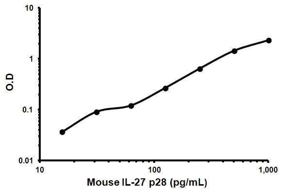Sandwich ELISA - Mouse IL-27 p28 ELISA Kit (AB171333)