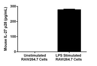 Sandwich ELISA - Mouse IL-27a ELISA Kit (Interleukin 27 p28 subunit) (AB206306)