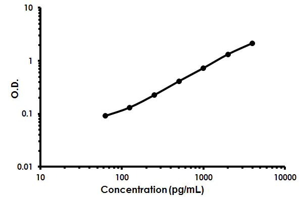 Sandwich ELISA - Mouse IL-34 ELISA Kit (AB213873)