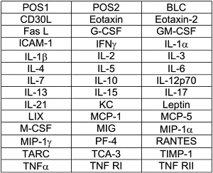 Multiplex Protein Detection - Mouse Inflammation Antibody Array (40 Targets) - Quantitative (AB197473)