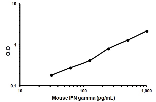 Sandwich ELISA - Mouse Interferon gamma ELISA Kit (AB46081), expandable thumbnail