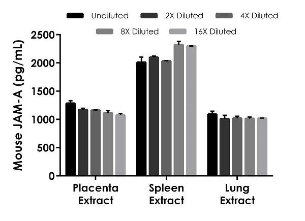 Sandwich ELISA - Mouse JAM-A ELISA Kit (Junctional Adhesion Molecule) (AB277080)