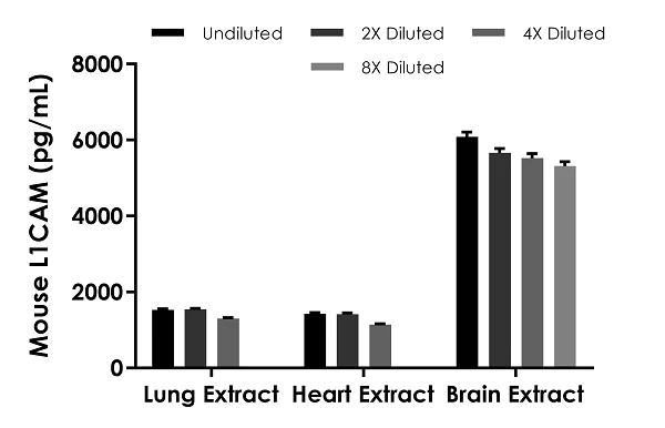 Sandwich ELISA - Mouse L1CAM ELISA Kit (AB282313)