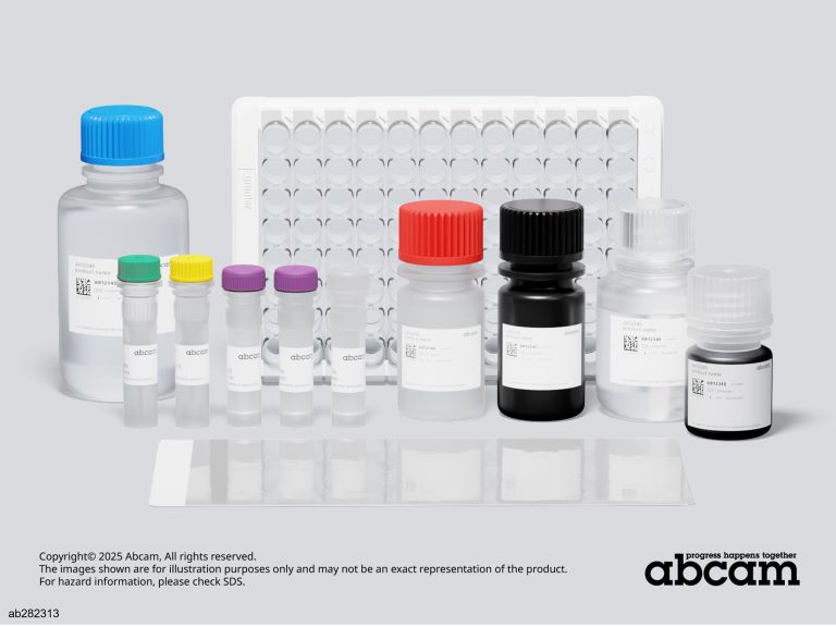 Sandwich ELISA - Mouse L1CAM ELISA Kit (AB282313)