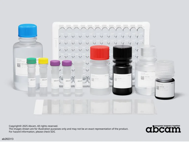 Sandwich ELISA - Mouse L1CAM ELISA Kit (AB282313)