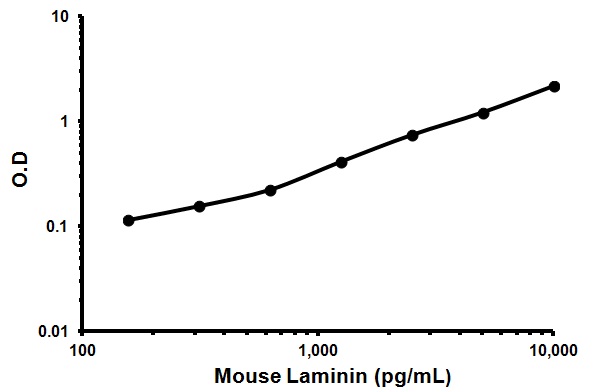 Sandwich ELISA - Mouse Laminin ELISA Kit (AB119572), expandable thumbnail