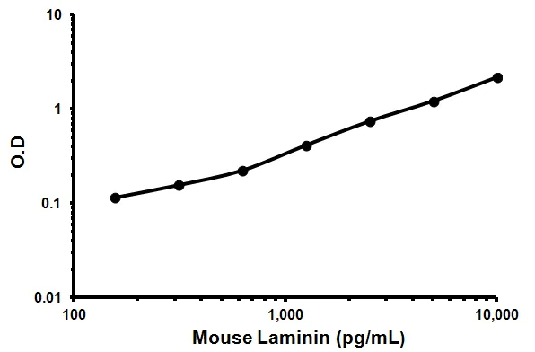Sandwich ELISA - Mouse Laminin ELISA Kit (AB119572)