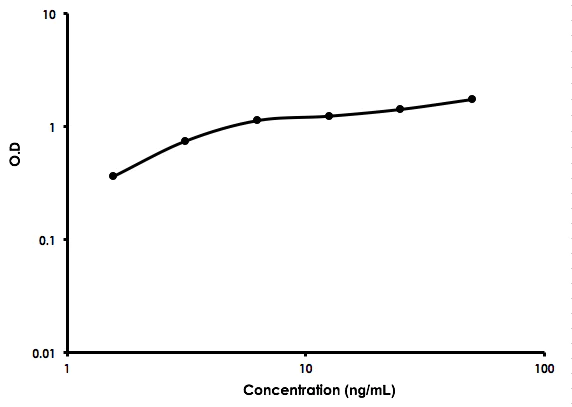 Sandwich ELISA - Mouse LBP ELISA Kit (AB213876)