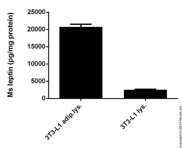 Sandwich ELISA - Mouse Leptin ELISA Kit (AB100718)
