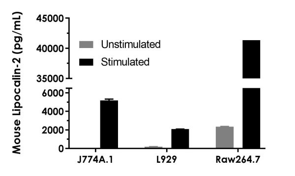 Sandwich ELISA - Mouse Lipocalin-2 ELISA Kit, Fluorescent (AB229420), expandable thumbnail