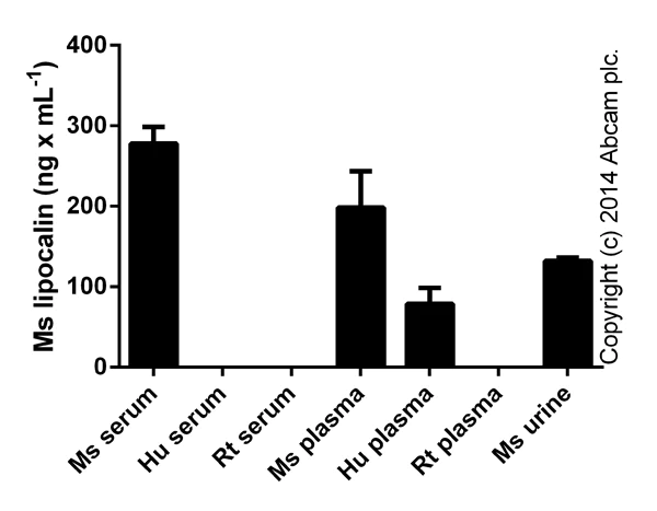 Sandwich ELISA - Mouse Lipocalin-2 ELISA Kit (NGAL) (AB119601)
