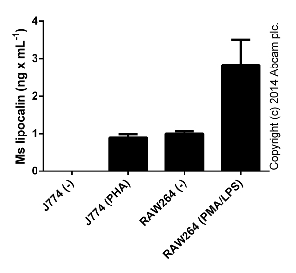 Sandwich ELISA - Mouse Lipocalin-2 ELISA Kit (NGAL) (AB119601), expandable thumbnail
