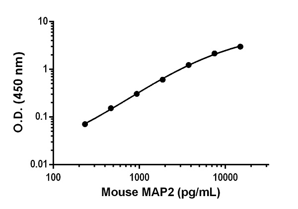 Sandwich ELISA - Mouse MAP2 ELISA Kit (AB253229), expandable thumbnail