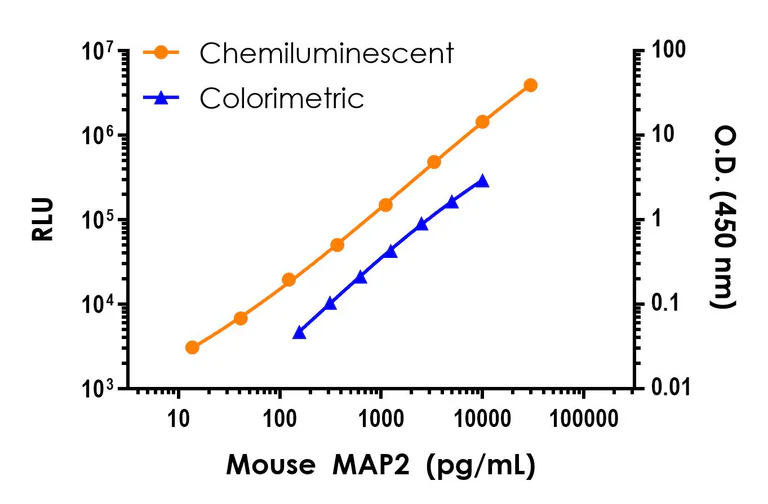 Sandwich ELISA - Mouse MAP2 ELISA Kit, Chemiluminescent (AB326401)