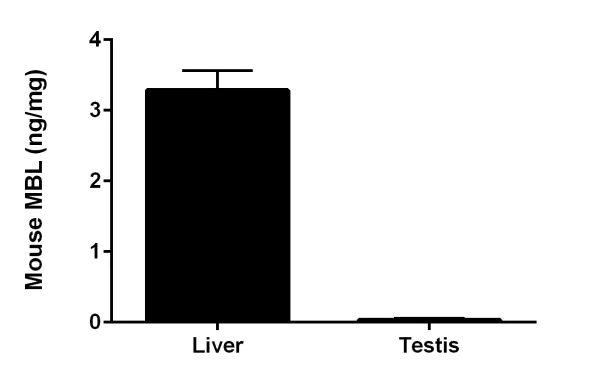 Sandwich ELISA - Mouse MBL ELISA Kit (AB208343)