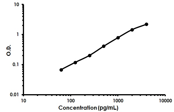 Sandwich ELISA - Mouse MMP-12 ELISA Kit (AB213878), expandable thumbnail