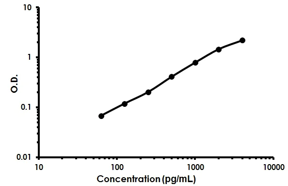 Sandwich ELISA - Mouse MMP-12 ELISA Kit (AB213878)