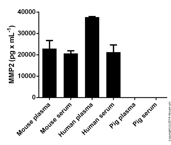 Mouse MMP2 ELISA Kit