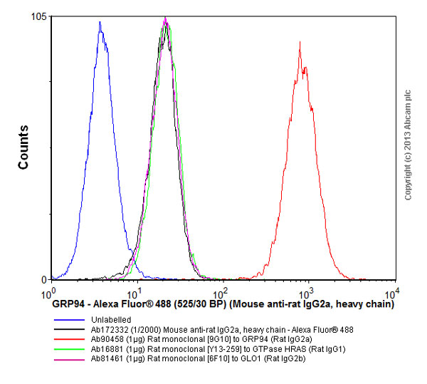 Flow Cytometry - Mouse monoclonal [2A 8F4] Anti-Rat IgG2a heavy chain (Alexa Fluor® 488) (AB172332)