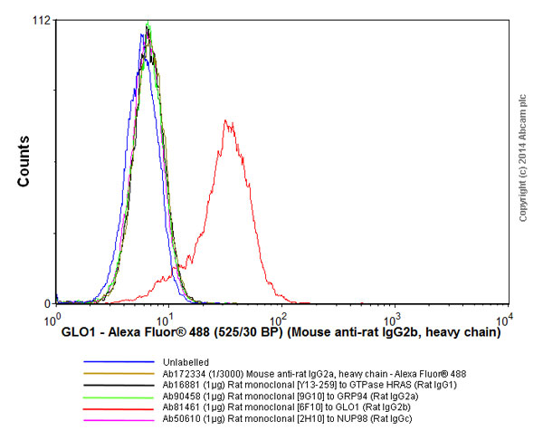 Flow Cytometry - Mouse monoclonal [2B 10A8] Anti-Rat IgG2b heavy chain (Alexa Fluor® 488) (AB172334)